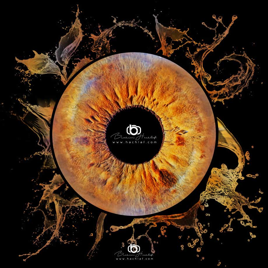 Photo iris splash orange Loire-Atlantique