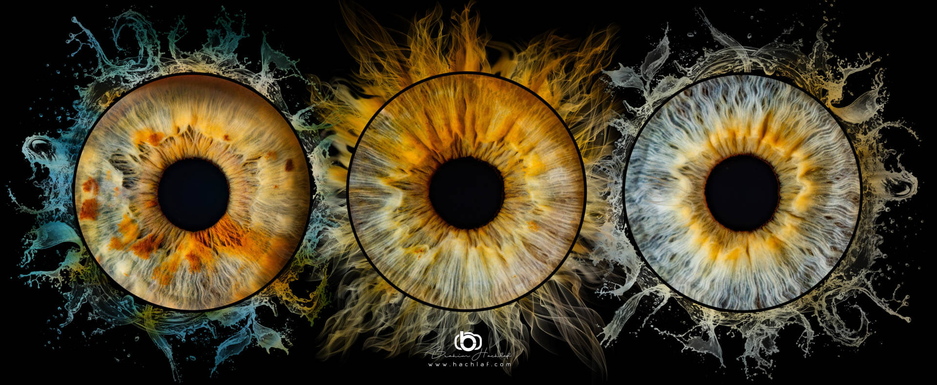 Photo d'iris famille 3 iris photographe Nantes